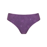 Lisca Patricia purple brief