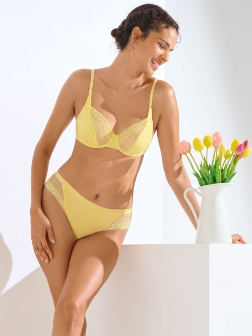 Lisca Pompeya yellow brief