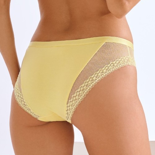 Lisca Pompeya yellow brief