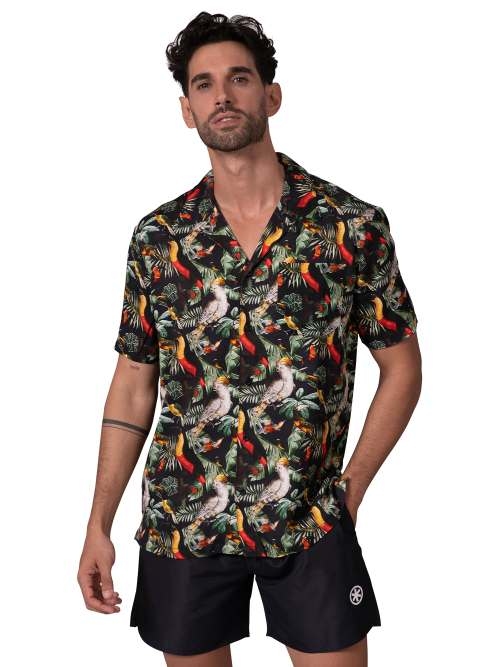 Muchachomalo Solid  black blouse