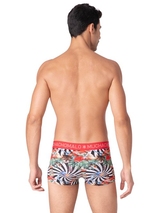 Muchachomalo Fairy Tale red trunk