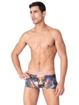Muchachomalo Fairy Tale blue trunk