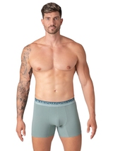 Muchachomalo Solid  blue cotton boxer short