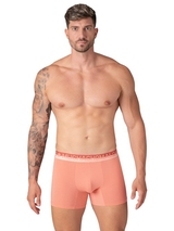 Muchachomalo Solid  blue cotton boxer short