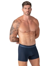 Muchachomalo Solid  grey cotton boxer short