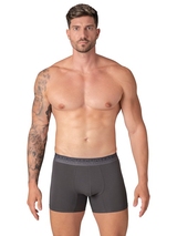 Muchachomalo Solid  grey cotton boxer short