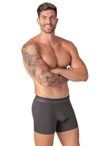 Muchachomalo Solid  grey cotton boxer short
