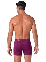 Muchachomalo Dragon Flow print boxer short