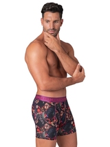 Muchachomalo Dragon Flow print boxer short