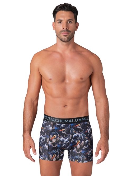 Muchachomalo Pelican Fly print boxer short
