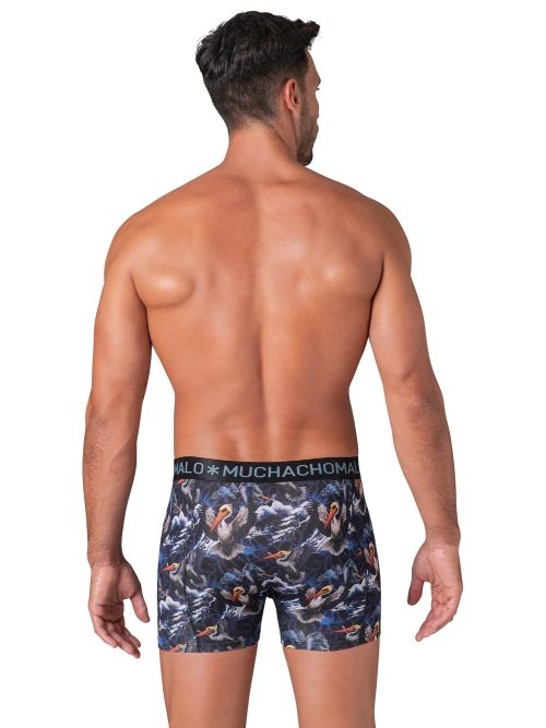 Muchachomalo Pelican Fly print boxer short