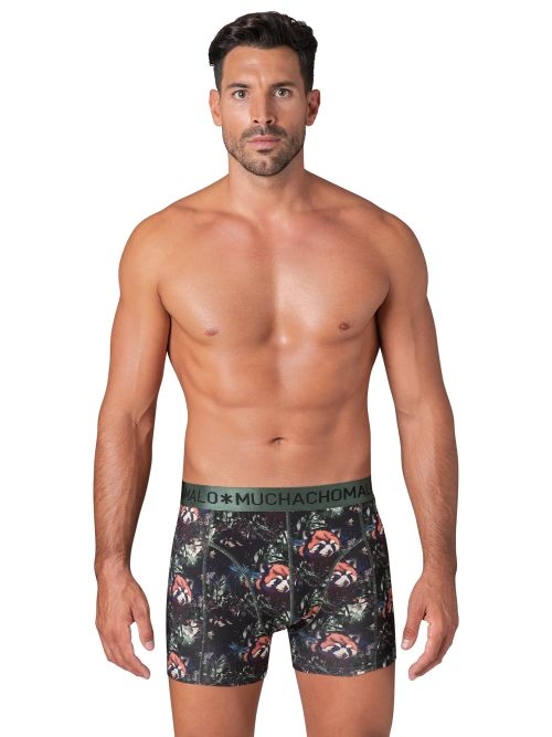 Muchachomalo Red Panda print boxer short