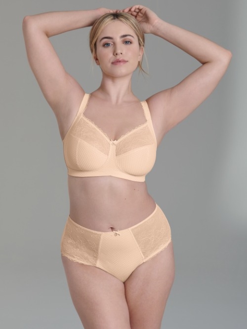 Rosa Faia Eloise  brief