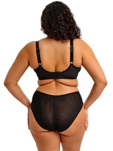 Elomi Reja black brief