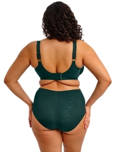 Elomi Cate Allure green high waist brief