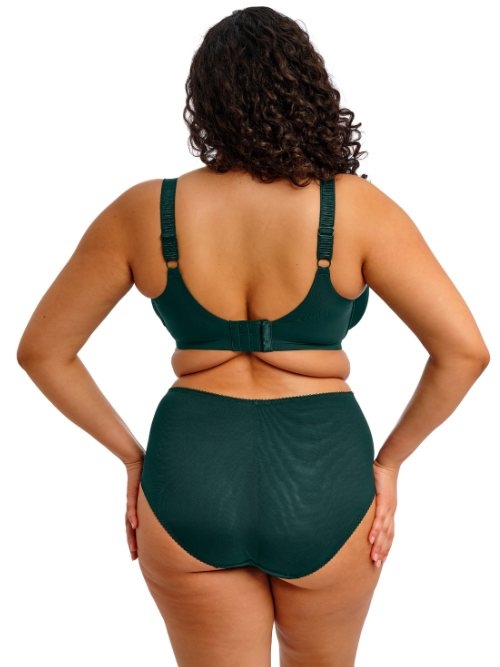 Elomi Cate Allure green high waist brief