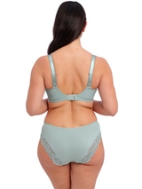 Fantasy Lingerie Reflect green padded bra