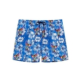 HOM Swimwear Colibris blue swimshort