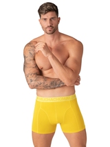 Muchachomalo Solid  black cotton boxer short