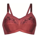 Anita Care Sabina bordeaux prosthesis bra