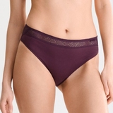 Lisca Ria purple brief