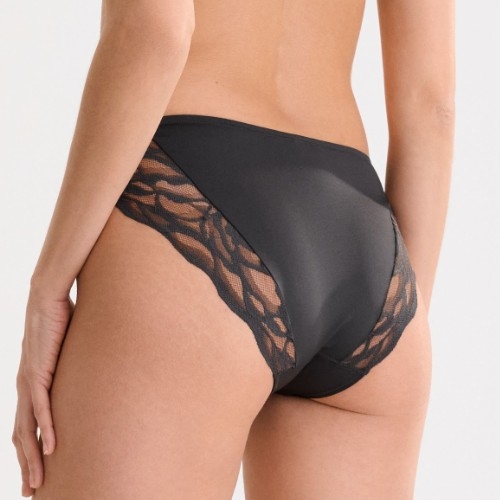 Lisca River anthracite brief