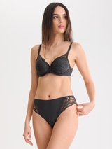Lisca River anthracite brief