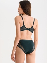 Lisca Evelyn green brief