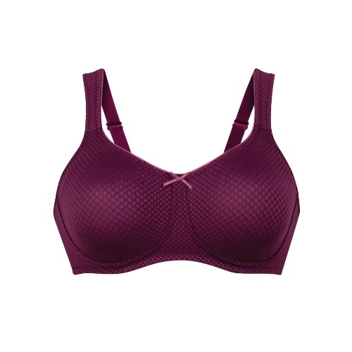 Anita Care Leni plum prosthesis bra
