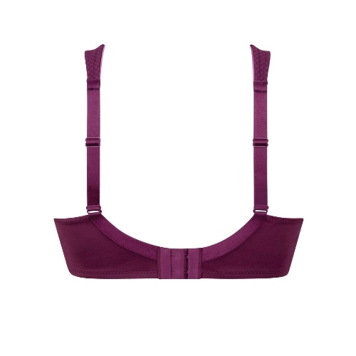 Anita Care Leni plum prosthesis bra