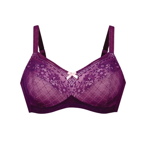 Anita Care Rosemary purple prosthesis bra