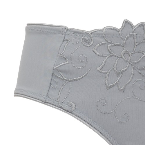 Guy de France Embroidery grey brief