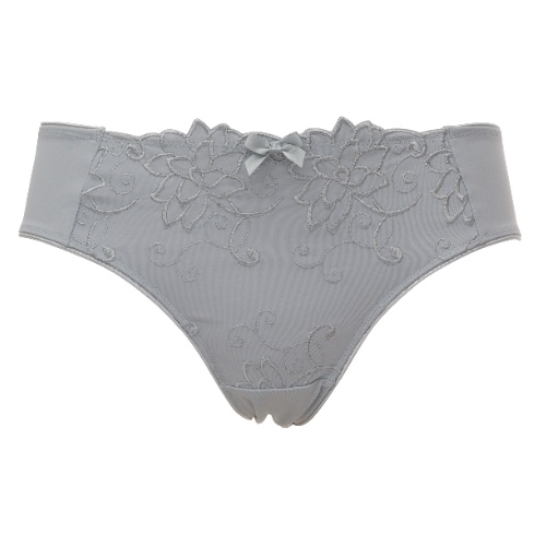 Guy de France Embroidery grey brief