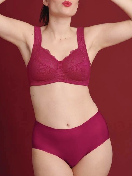 Anita Essential cherry red high waist brief
