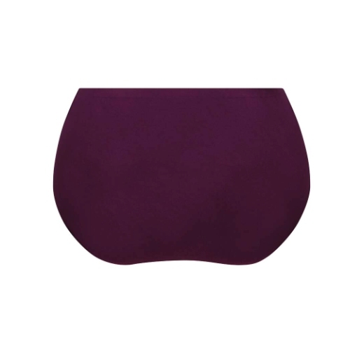 Anita Essential purple high waist brief