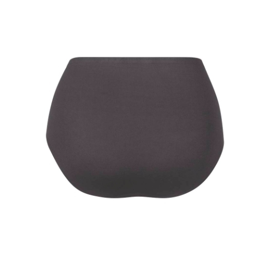 Anita Essential anthracite high waist brief