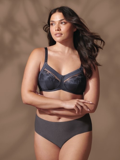 Anita Essential anthracite high waist brief