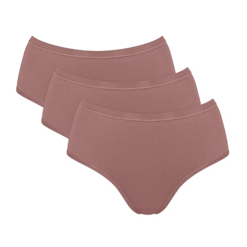 Sloggi GO Daily Cotton brown brief