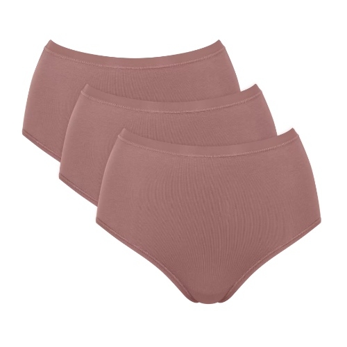 Sloggi GO Daily Cotton brown high waist brief