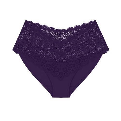 Triumph Amourette purple brief