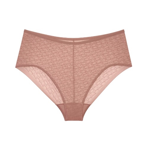 Triumph Signature Sheer brown high waist brief