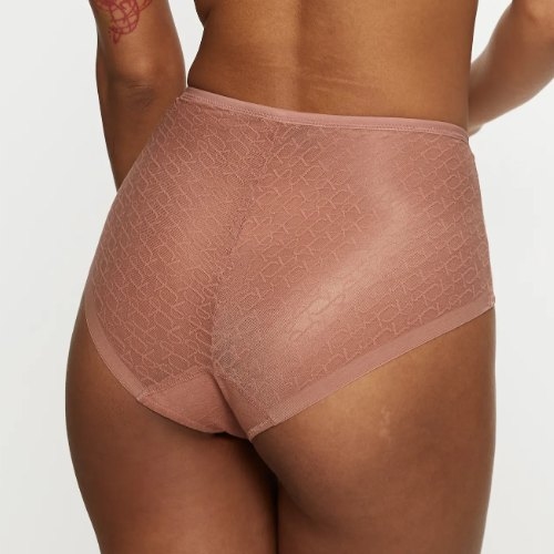 Triumph Signature Sheer brown high waist brief