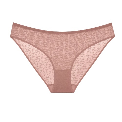 Triumph Signature Sheer brown brief