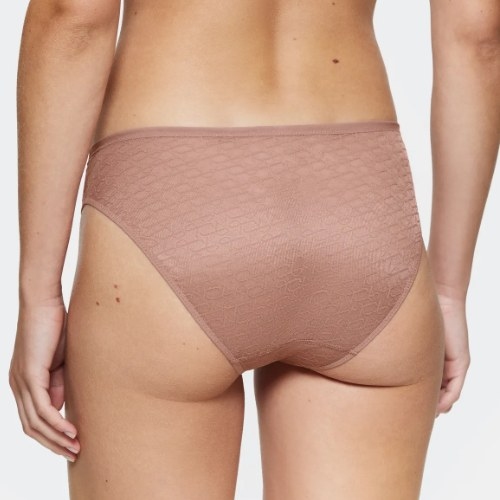 Triumph Signature Sheer brown brief