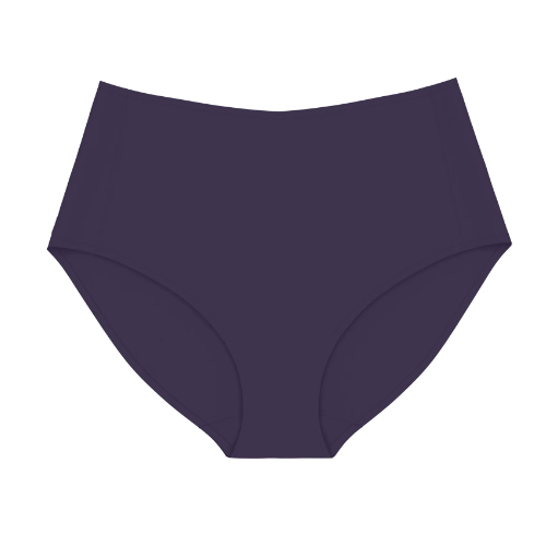 Triumph Smart Invisible navy blue brief