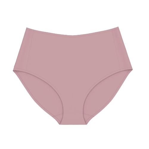 Triumph Smart Invisible violet brief