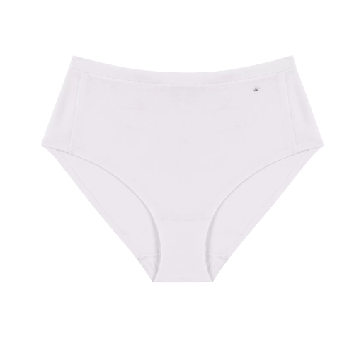 Triumph Smart Natural white brief