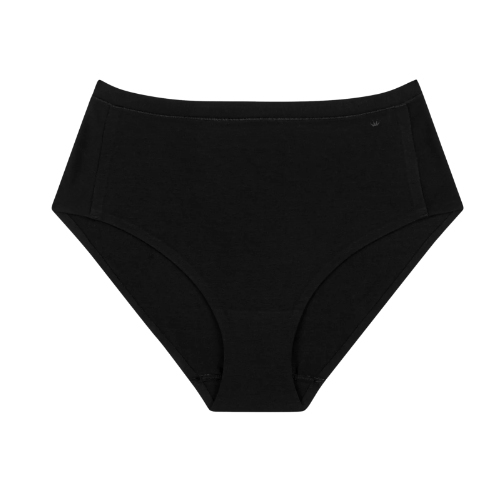 Triumph Smart Natural black brief