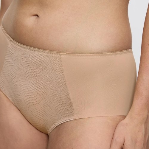 Triumph Essential Minimizer skin brief