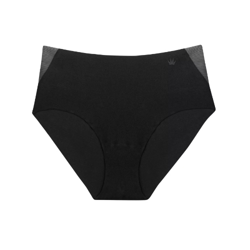 Triumph Flex Smart black brief